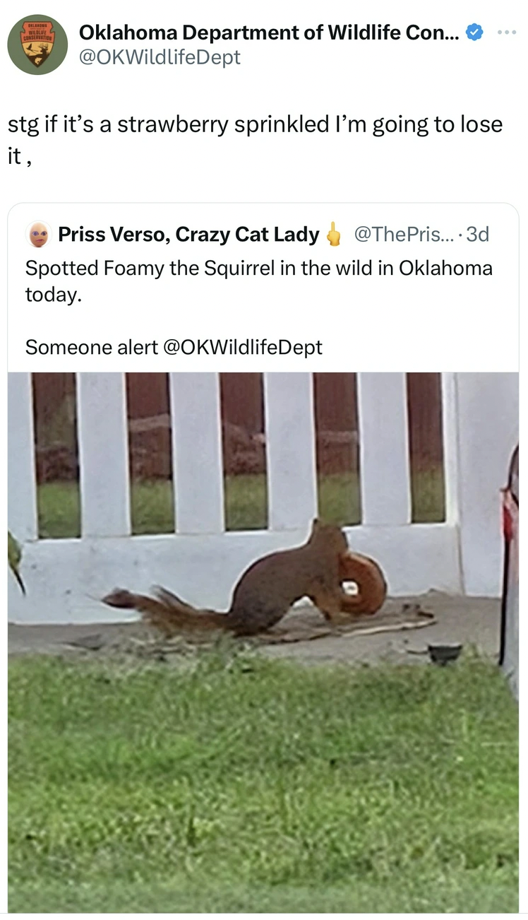 grass - Oklahoma Department of Wildlife Con... stg if it's a strawberry sprinkled I'm going to lose it, Priss Verso, Crazy Cat Lady ....3d Spotted Foamy the Squirrel in the wild in Oklahoma today. Someone alert